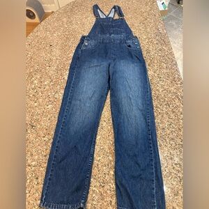 We The Free Indigo Denim Overalls